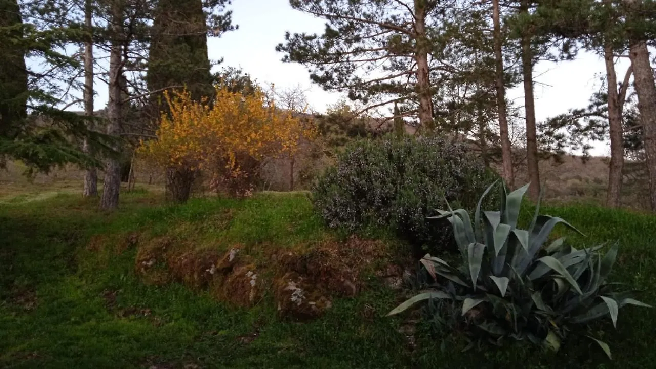 La Casa Di Laura Διαμέρισμα Loro Ciuffenna